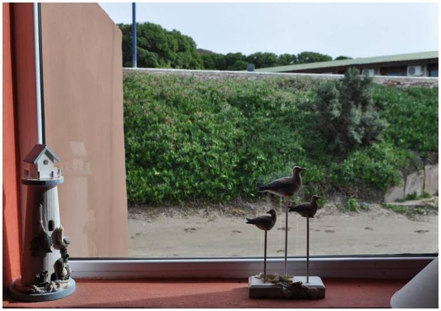 פורטו פיראמידס Hosteria Puerto Palos מראה חיצוני תמונה